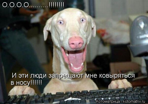 О.О.О.О..........!!!!!!!! И эти люди запрещают мне ковыряться в носу!!!!!!... Котоматрица: О.О.О.О..........!!!!!!!! И эти люди запрещают мне ковыряться в носу!!!!!!