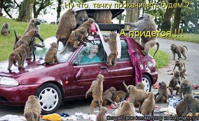 Котоматрица: - Ну что, тачку прокачивать будем ? А придется !!!