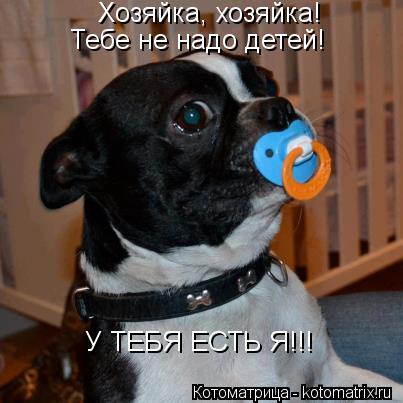 Котоматрица: Хозяйка, хозяйка!  Тебе не надо детей!  У ТЕБЯ ЕСТЬ Я!!!