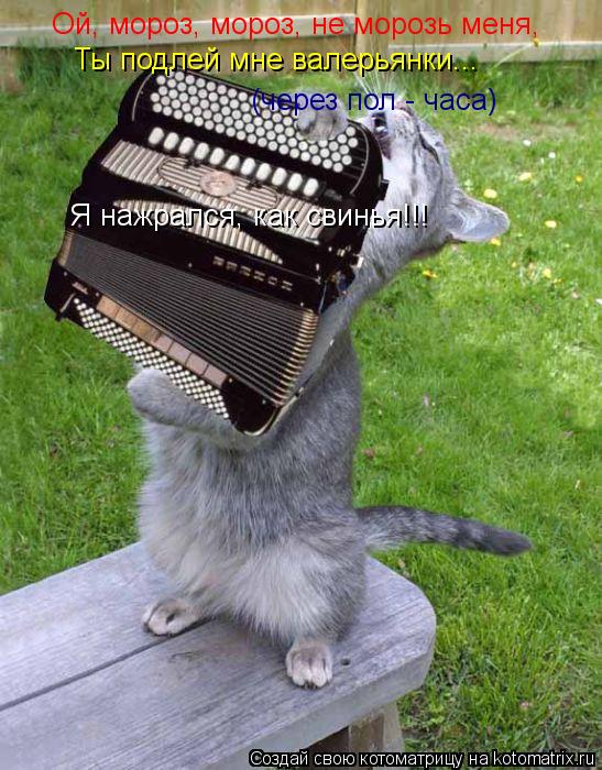 Ой, мороз, мороз, не морозь меня, Ты подлей мне валерьянки... (через пол - часа) Я нажрался, как свин... Котоматрица: Ой, мороз, мороз, не морозь меня, Ты подлей мне валерьянки... (через пол - часа) Я нажрался, как свинья!!!