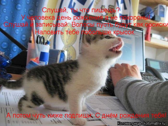 Котоматрица: Слушай, ты что пишешь? У человека день рождения а не похороны! Слушай и записывай: Волосы пусть будут как сосиски,  Наловить тебе побольше кр