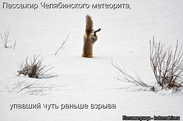 Котоматрица: Пассажир Челябинского метеорита,  упавший чуть раньше взрыва