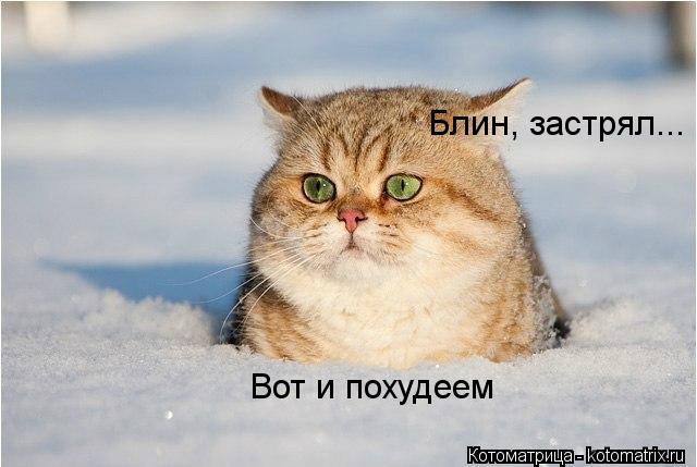 Блин, застрял... Вот и похудеем... Котоматрица: Блин, застрял... Вот и похудеем