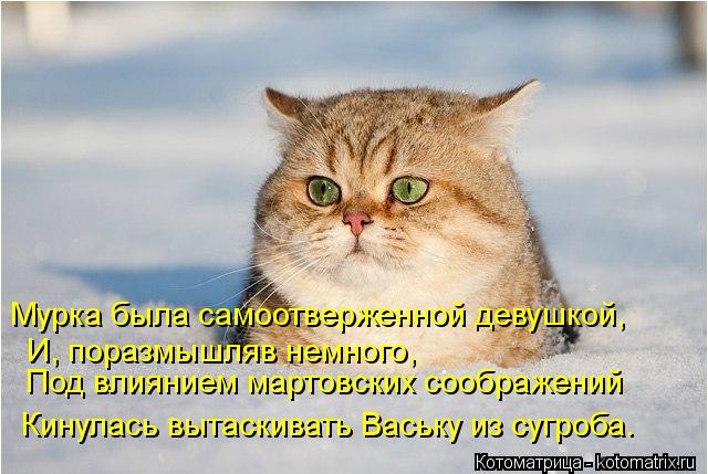 Котоматрица: Мурка была самоотверженной девушкой, И, поразмышляв немного, Под влиянием мартовских соображений Кинулась вытаскивать Ваську из сугроба.