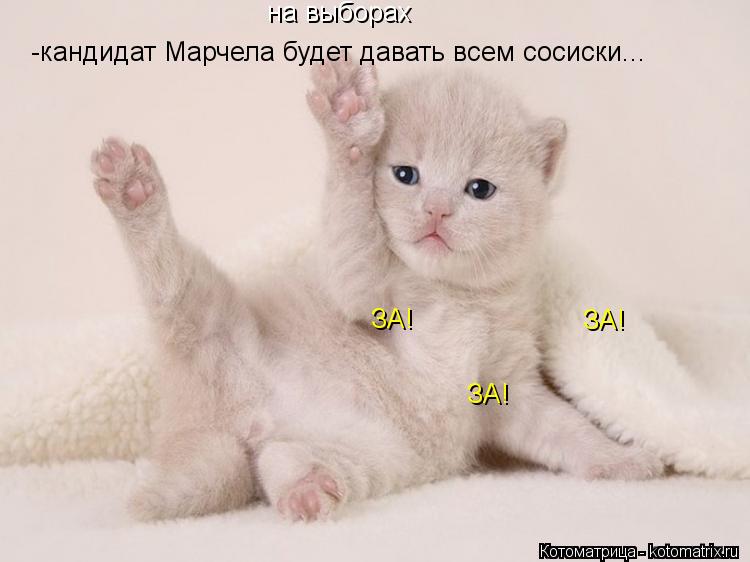на выборах -кандидат Марчела будет давать всем сосиски... ЗА! ЗА! ЗА!... Котоматрица: на выборах -кандидат Марчела будет давать всем сосиски... ЗА! ЗА! ЗА!