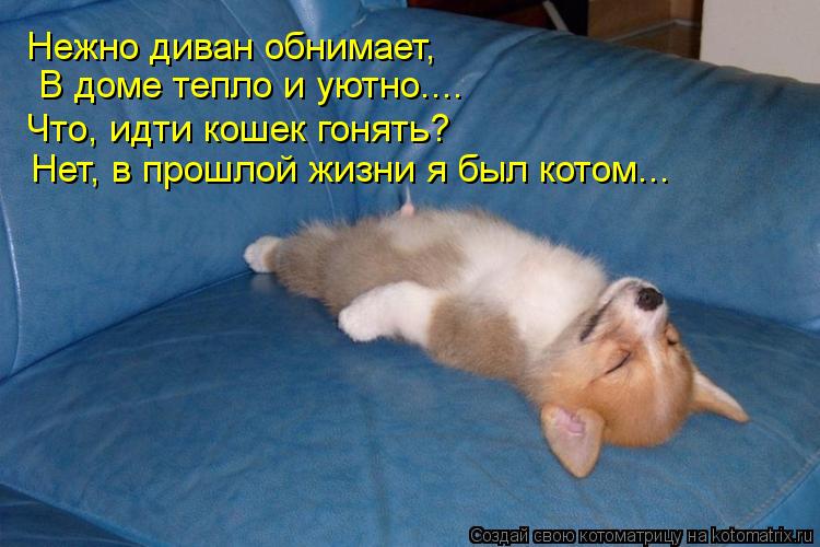 Котоматрица: Нежно диван обнимает, В доме тепло и уютно.... Что, идти кошек гонять? Нет, в прошлой жизни я был котом...