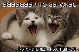 ааааааа что за ужас... Котоматрица: ааааааа что за ужас