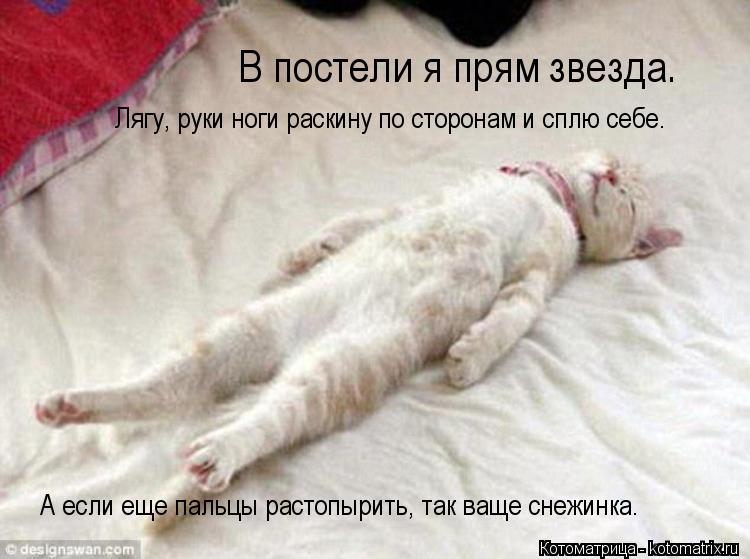 В постели я прям звезда. Лягу, руки ноги раскину по сторонам и сплю себе. А если еще пальцы растопы... Котоматрица: В постели я прям звезда. Лягу, руки ноги раскину по сторонам и сплю себе. А если еще пальцы растопырить, так ваще снежинка.