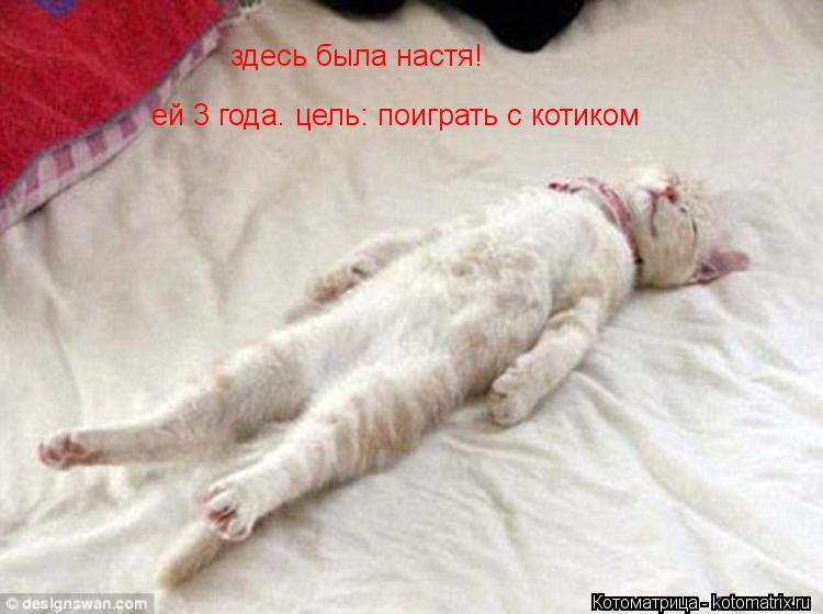здесь была настя! ей 3 года. цель: поиграть с котиком... Котоматрица: здесь была настя! ей 3 года. цель: поиграть с котиком