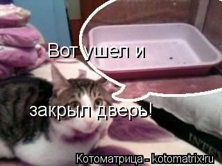 Котоматрица: Вот ушел и Вот ушел и закрыл дверь! закрыл дверь! закрыл дверь!