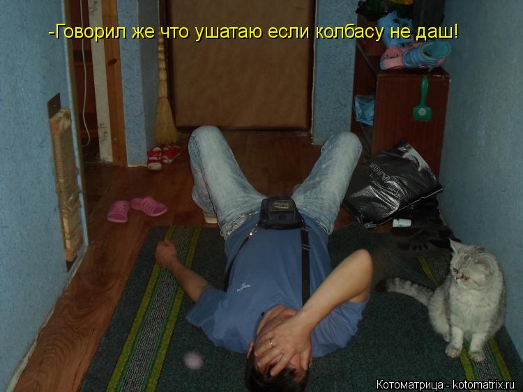 -Говорил же что ушатаю если колбасу не даш!... Котоматрица: -Говорил же что ушатаю если колбасу не даш!