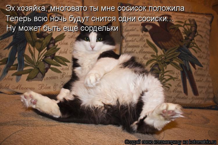 Эх хозяйка, многовато ты мне сосисок положила Теперь всю ночь будут снится одни сосиски... Ну может б... Котоматрица: Эх хозяйка, многовато ты мне сосисок положила Теперь всю ночь будут снится одни сосиски... Ну может быть ещё сордельки