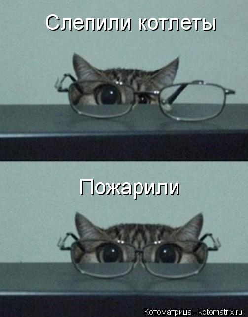 Слепили котлеты Пожарили... Котоматрица: Слепили котлеты Пожарили