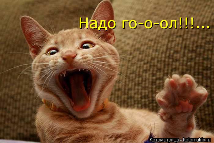 Надо го-о-ол!!!...... Котоматрица: Надо го-о-ол!!!...