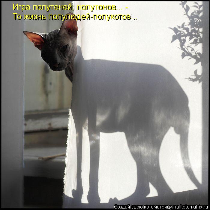То жизнь полулюдей-полукотов... Игра полутеней, полутонов... -... Котоматрица: То жизнь полулюдей-полукотов... Игра полутеней, полутонов... -