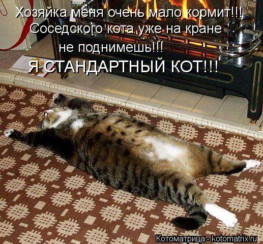 Котоматрица: Хозяйка меня очень мало кормит!!! Соседского кота уже на кране  не поднимешь!!! Я СТАНДАРТНЫЙ КОТ!!!