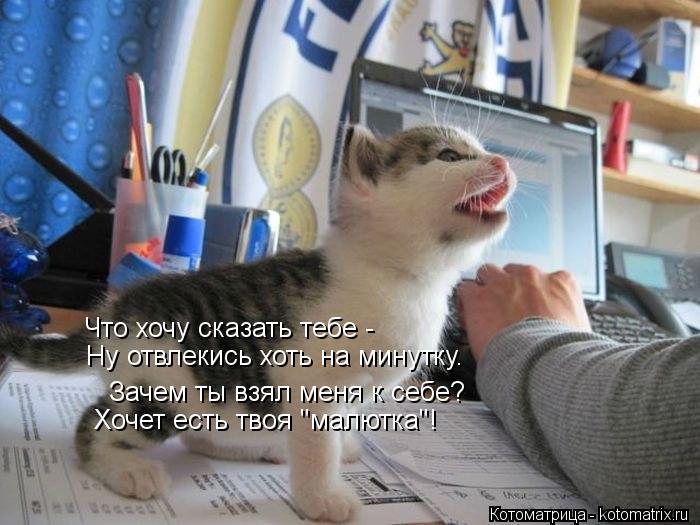 Котоматрица: Что хочу сказать тебе - Ну отвлекись хоть на минутку. Зачем ты взял меня к себе? Хочет есть твоя "малютка"!