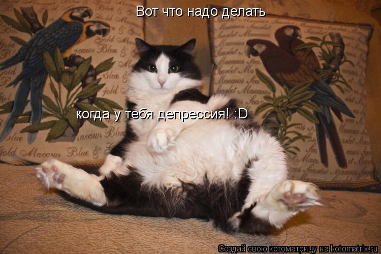 Котоматрица: Вот что надо делать когда у тебя депрессия! :D