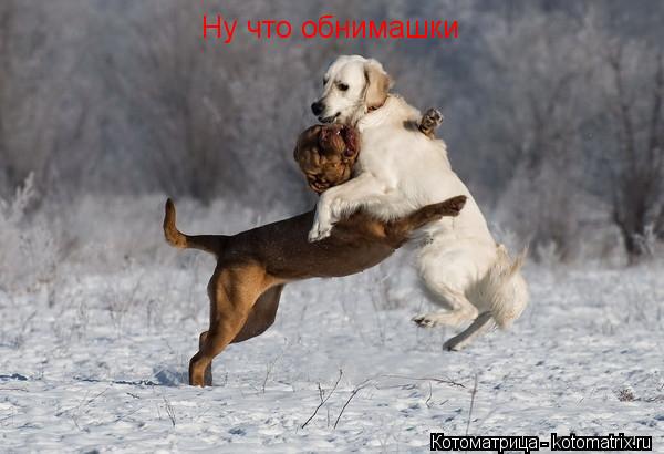 Котоматрица: Ну что обнимашки