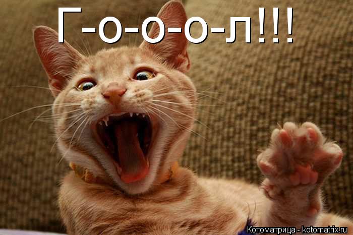 Г-о-о-о-л!!!... Котоматрица: Г-о-о-о-л!!!