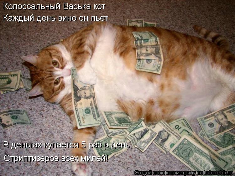 Колоссальный Васька кот Каждый день вино он пьет В деньгах купается 5 раз в день Стриптизеров всех ... Котоматрица: Колоссальный Васька кот Каждый день вино он пьет В деньгах купается 5 раз в день Стриптизеров всех милей!
