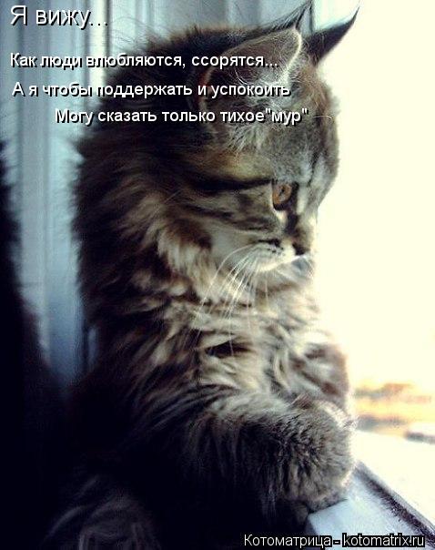 Котоматрица: Я вижу... Как люди влюбляются, ссорятся... А я чтобы поддержать и успокоить Могу сказать только тихое"мур"