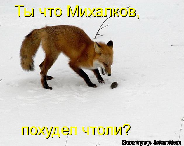 Ты что Михалков, похудел чтоли?... Котоматрица: Ты что Михалков, похудел чтоли?