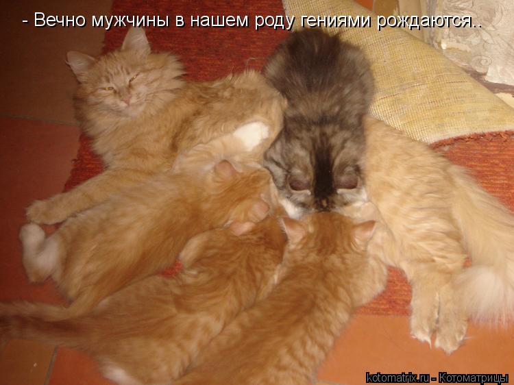 Котоматрица: - Вечно мужчины в нашем роду гениями рождаются..