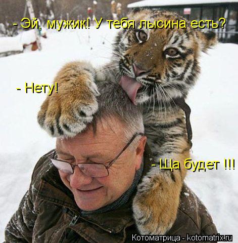 Котоматрица: - Эй, мужик! У тебя лысина есть? - Нету! - Ща будет !!!