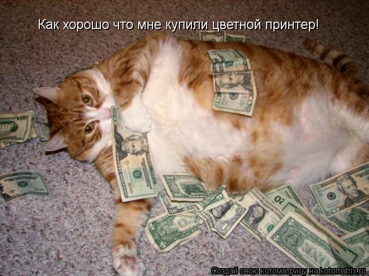 Как хорошо что мне купили цветной принтер!... Котоматрица: Как хорошо что мне купили цветной принтер!