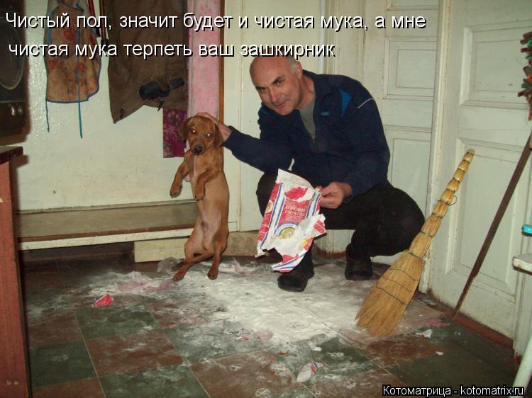 Котоматрица: Чистый пол, значит будет и чистая мука, а мне чистая мука терпеть ваш зашкирник