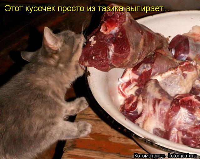 Котоматрица: Этот кусочек просто из тазика выпирает...