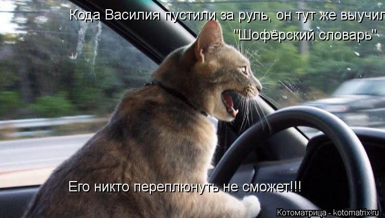 Котоматрица: Кода Василия пустили за руль, он тут же выучил "Шофёрский словарь"  "Шофёрский словарь" Его никто переплюнуть не сможет!!!