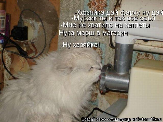 Котоматрица: -Хфзяйка дай фарху ну дай. -Мурзик ты и так всё сеъл -Мне не хватило на катлеты. Нука марш в магазин. -Ну хазяйка!