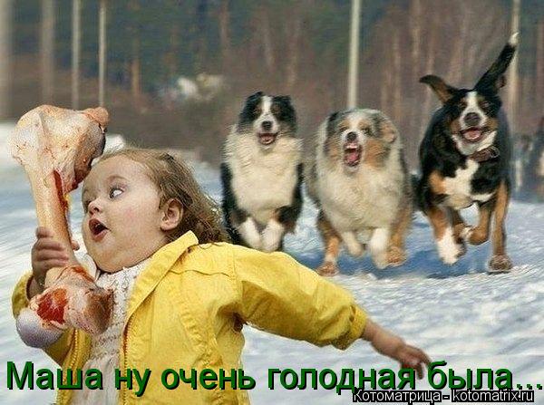Маша ну очень голодная была...... Котоматрица: Маша ну очень голодная была...