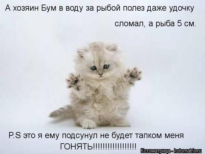 А хозяин Бум в воду за рыбой полез даже удочку сломал, а рыба 5 см. P.S это я ему подсунул не будет ... Котоматрица: А хозяин Бум в воду за рыбой полез даже удочку сломал, а рыба 5 см. P.S это я ему подсунул не будет тапком меня ГОНЯТЬ!!!!!!!!!!!!!!!!!!