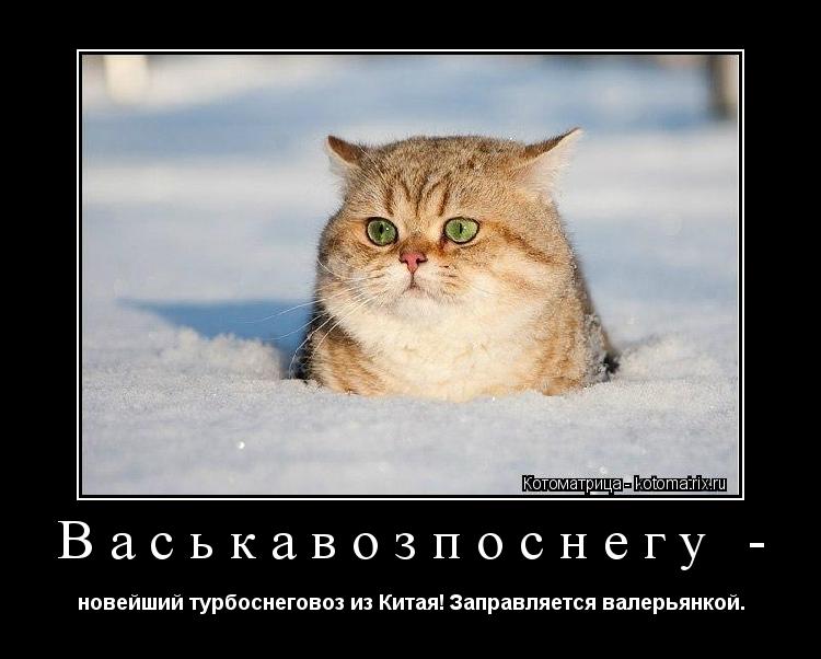 Котоматрица: Васькавозпоснегу - новейший турбоснеговоз из Китая! Заправляется валерьянкой.