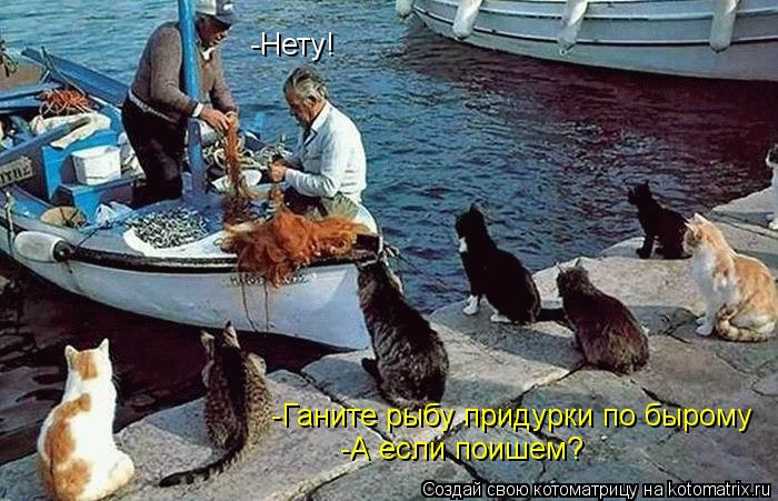 -Ганите рыбу придурки по бырому -Нету! -А если поишем? -А если поишем?... Котоматрица: -Ганите рыбу придурки по бырому -Нету! -А если поишем? -А если поишем?