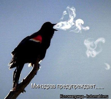 Минздрав предупреждает,,,,,,... Котоматрица: Минздрав предупреждает,,,,,,