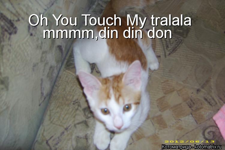 Oh You Touch My tralala mmmm,din din don... Котоматрица: Oh You Touch My tralala mmmm,din din don