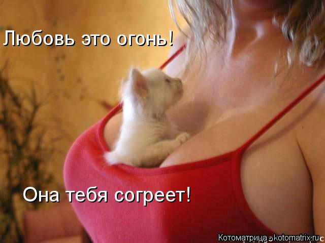 Любовь это огонь! Она тебя согреет!... Котоматрица: Любовь это огонь! Она тебя согреет!