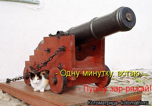 Котоматрица: - Пушку зар-ряжай! - Одну минутку, встаю.