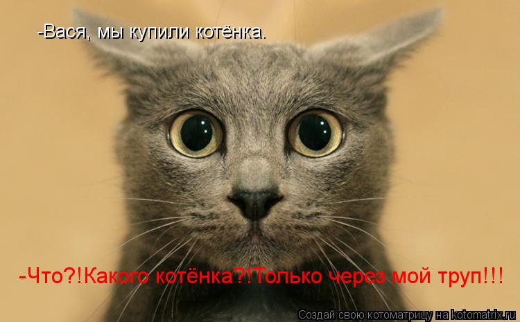-Вася, мы купили котёнка. -Что?!Какого котёнка?!Только через мой труп!!!... Котоматрица: -Вася, мы купили котёнка. -Что?!Какого котёнка?!Только через мой труп!!!