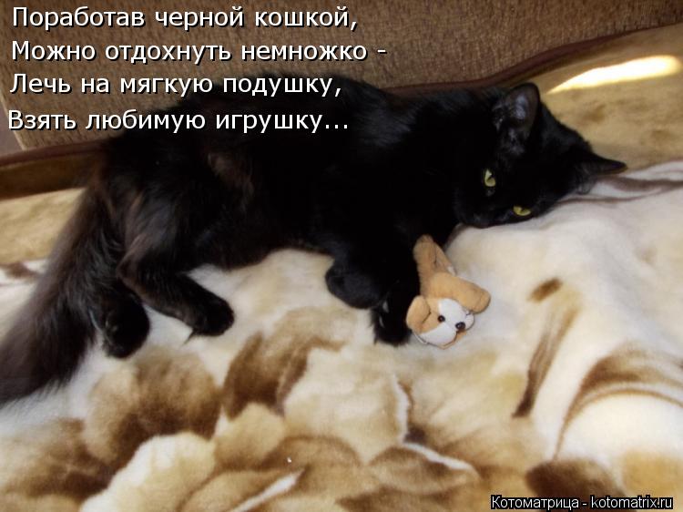 Котоматрица: Поработав черной кошкой, Можно отдохнуть немножко - Лечь на мягкую подушку, Взять любимую игрушку...