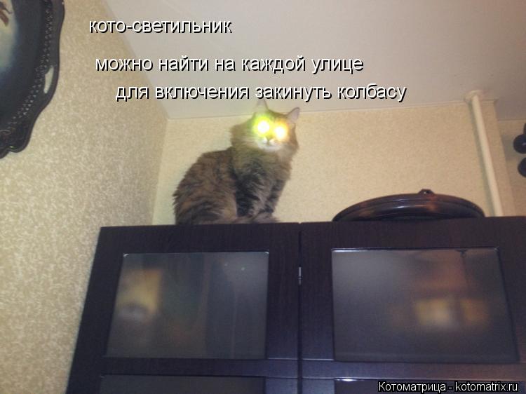 Котоматрица: кото-светильник  можно найти на каждой улице для включения закинуть колбасу