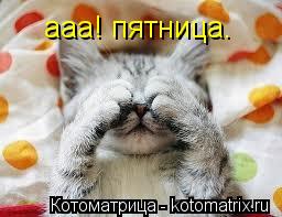 ааа! пятница.... Котоматрица: ааа! пятница.