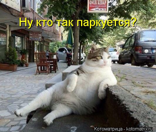 Ну кто так паркуется?... Котоматрица: Ну кто так паркуется?