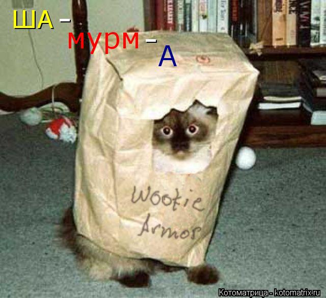 ША мурм А - -... Котоматрица: ША мурм А - -