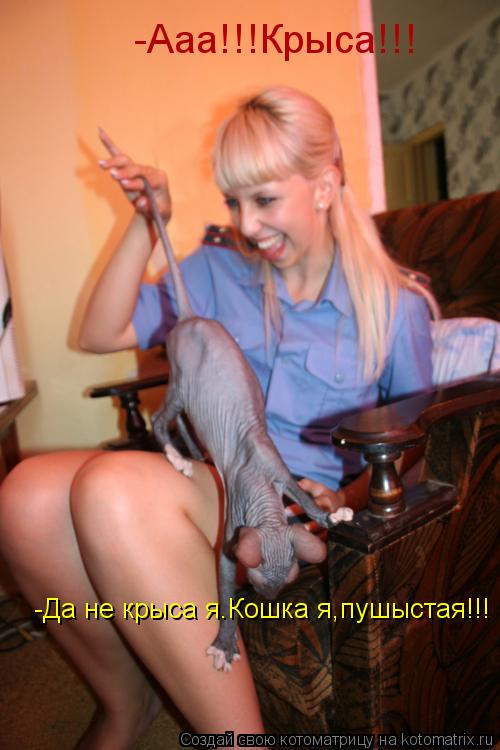-Ааа!!!Крыса!!! -Да не крыса я.Кошка я,пушыстая!!!... Котоматрица: -Ааа!!!Крыса!!! -Да не крыса я.Кошка я,пушыстая!!!