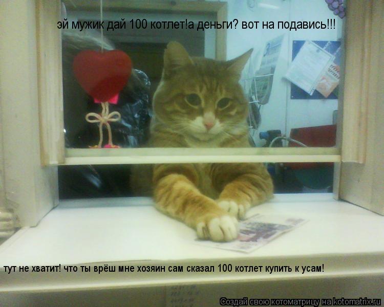 эй мужик дай 100 котлет!а деньги? вот на подавись!!! тут не хватит! что ты врёш мне хозяин сам сказал... Котоматрица: эй мужик дай 100 котлет!а деньги? вот на подавись!!! тут не хватит! что ты врёш мне хозяин сам сказал 100 котлет купить к усам!